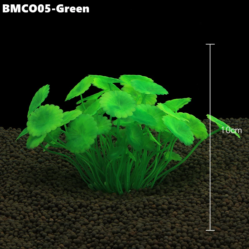 BMCO05 (4)