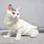 Pet Cat Свитер Зимняя теплая Хлопчатобумажная Одежда Для Кошек Вязаный Щенячий Свитер Котенок Ткань Кошачий Жилет Для Маленьких Средних Кошек Собак Чихуахуа