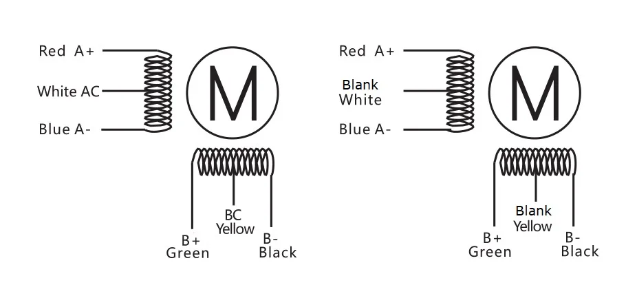 6 leads
