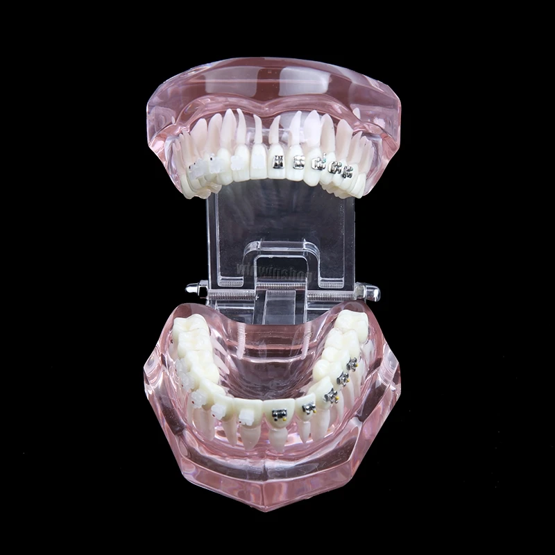 móvel modelo, Laboratório dental, clássico