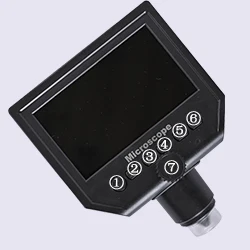 250详情4