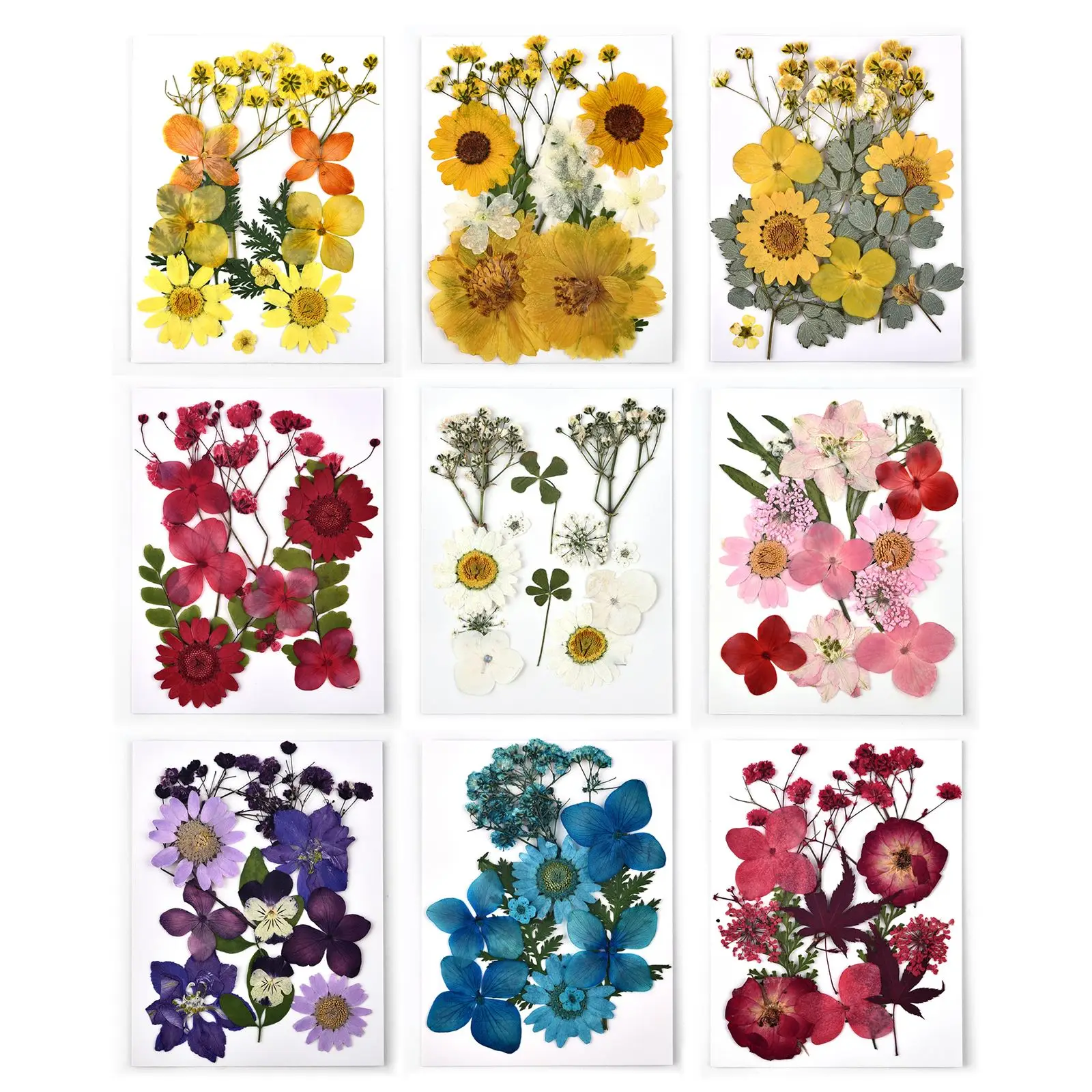 12 Pcs/bag Dried Flowers Diy Epoxy Resin Glue Filling Decoration Flower