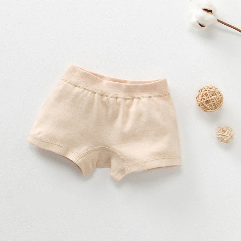 4051425326_1697585151