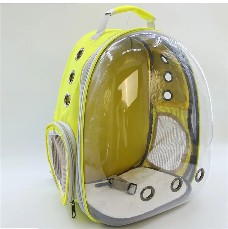 11008682078_1756254533