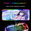 Computer Peripherals