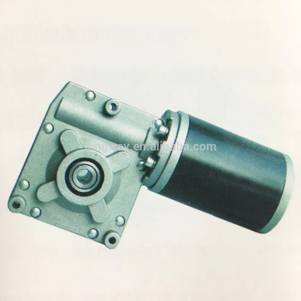 

DC permanent Magnet Motor