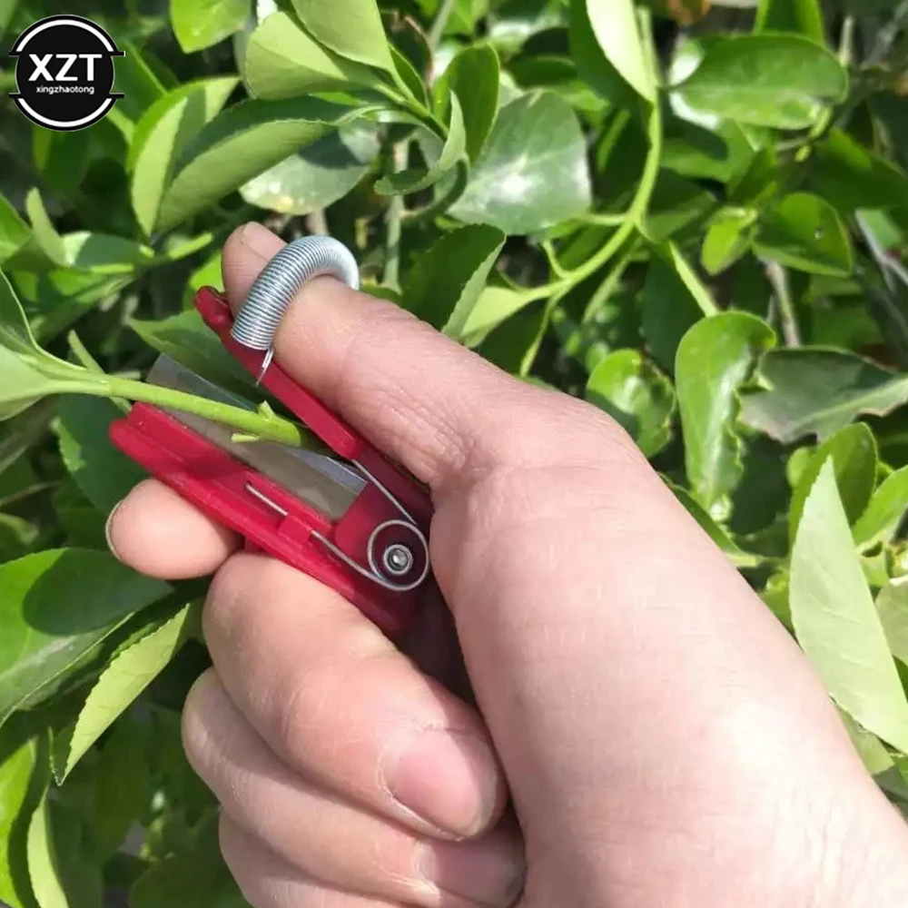 Vegetable Thump Knife Separator Vegetable Fruit Harvesting Picking Tool for Farm Garden Orchard