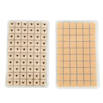 

High Effect 600pcs Ear Press Seed Acupuncture Vaccaria Plaster Acupoint Auriculotherapy Massage Bean Hot Ear Care Seeds Sticker