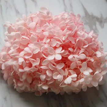 

20g/lot High Quality Natural Preserved Flowers Viburnum Macrocephalum,Dried Eternal Fresh wood Hydrangeas Flower Head