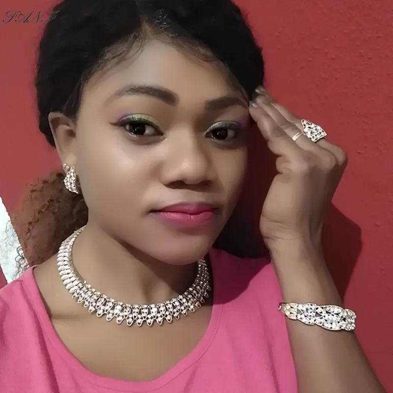 Fani Мода Дубай Золотой нигерийский Свадебный комплект ювелирных изделий