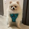 Reflective Pet Dog Harness and Leash Set for Small Medium Dogs mascotas Accessories Yorkies Puppy Cat Vest Harnesses arnes perro 4