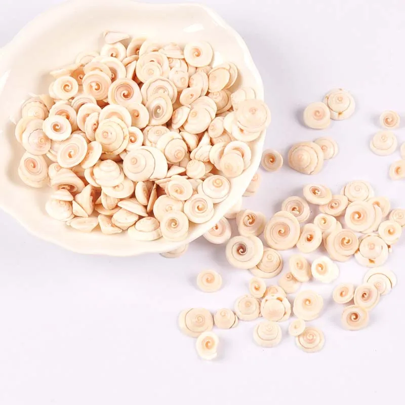Mini Spiral Natural Shells natural shell ornaments For Flatback Cabochons Handmade Scrapbooking Crafts DIY Aquarium Seashells Home Decoration 50Pcs