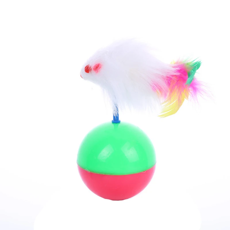 21159986267_1066304968