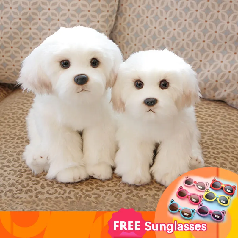 Dietă Surfing Auxiliar Chien Peluche Blanc Amazon Connectjob Ro