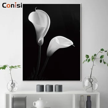 

Conisi Nordic Floral Wall Art Canvas Painting Print Black White Flowers Dandelion on Poster Home Decor for Livingroom Decoration