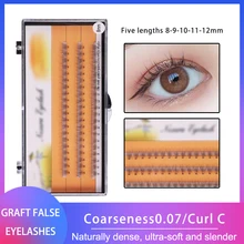 

Lezyan Net Red Eyelash Styling The Same Beautiful Fairy False Eyelashes Natural Simulation Eyelashes Single Eyelash Extension