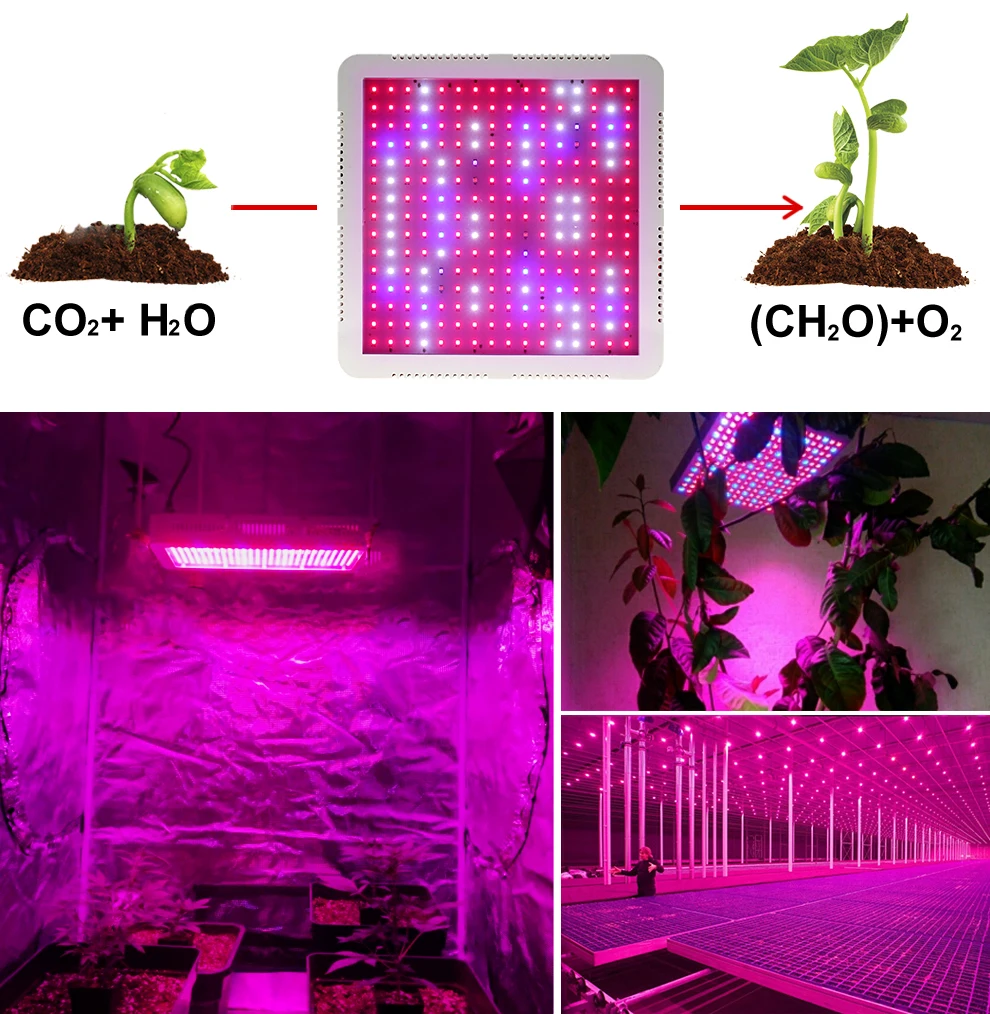 LED Chips, Plant Light para planta de