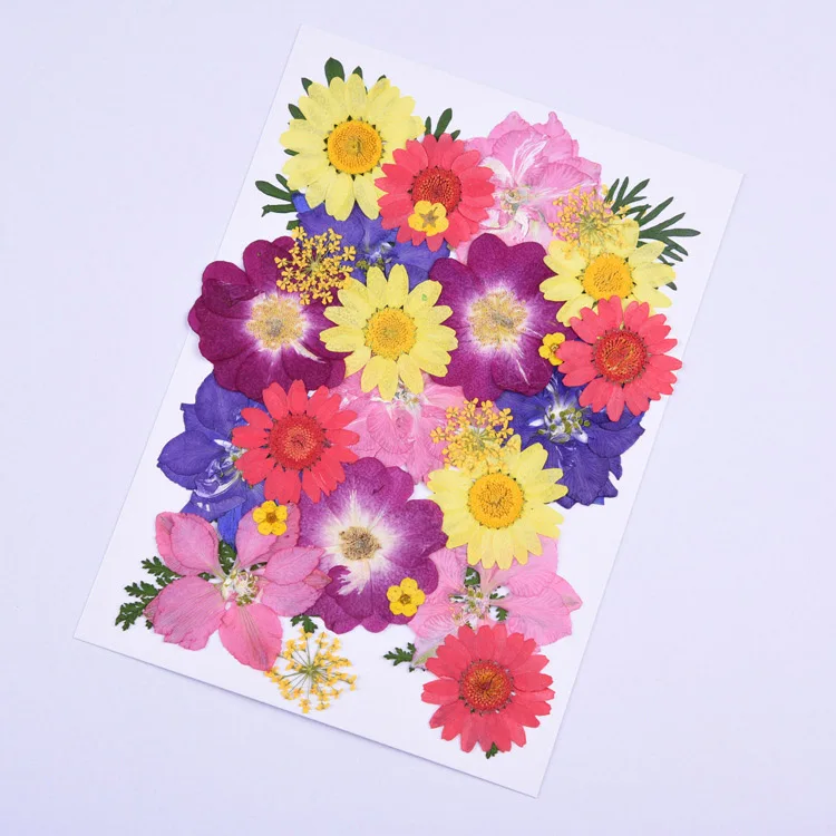Маленькие сушеные цветы, прессованные цветы, сделай сам, консервированные цветы, украшение для дома, мини-цветы - Цвет: 7A