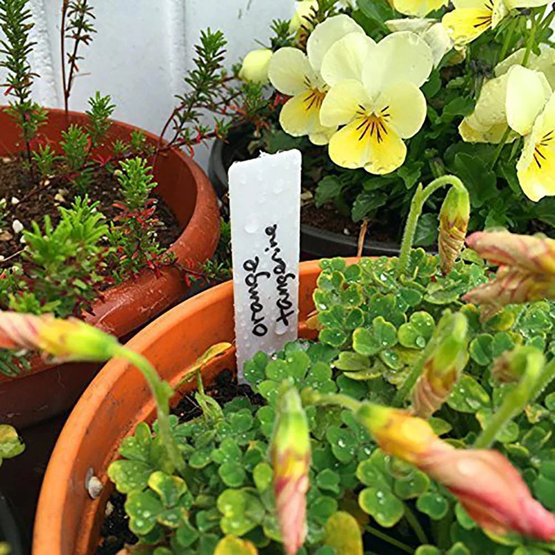 100Pcs/lot Garden Plastic Plant Labels Labels Tray Plant Tags Nursery Markers Flower Pots Seedling Mark Tools Garden Decor 1*5cm Plant Tags