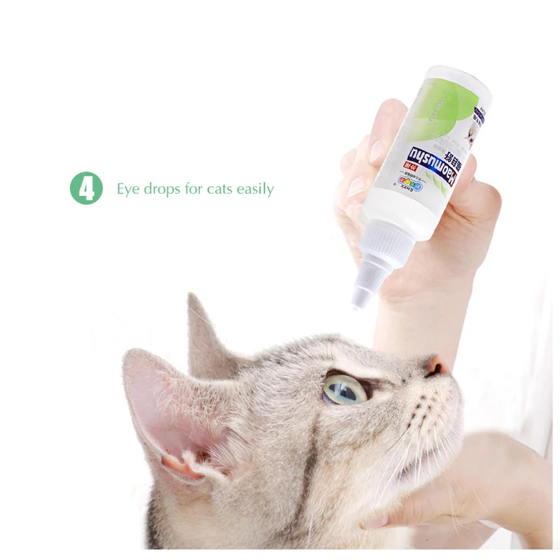 Cat Eye Drops Petco atelieryuwa.ciao.jp
