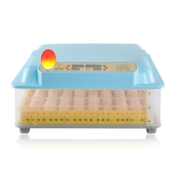 

Full-automatic Household Water Bed Incubator of Chicken Small Intelligent Bird Egg Box