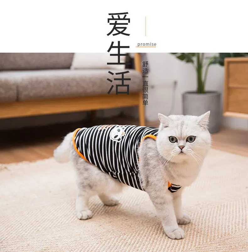 Online Celebrity Kitty Clothes Pet Cat Popular Brand Spring Summer Thin Section Cute Vest Style English Short Spring And Autumn