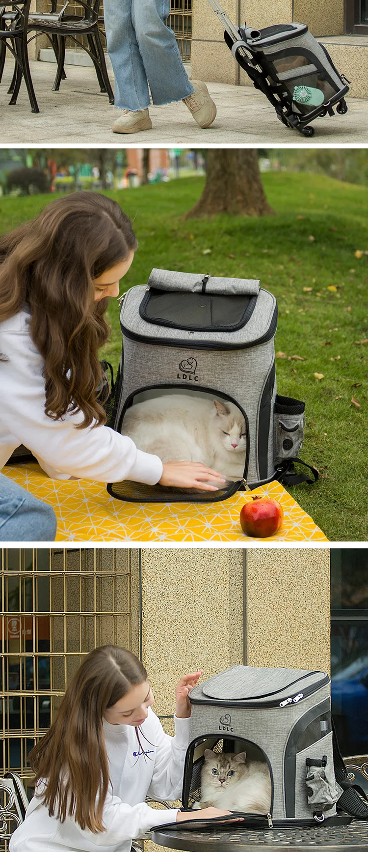 Mochila multifunções para cães pequenos e gato,