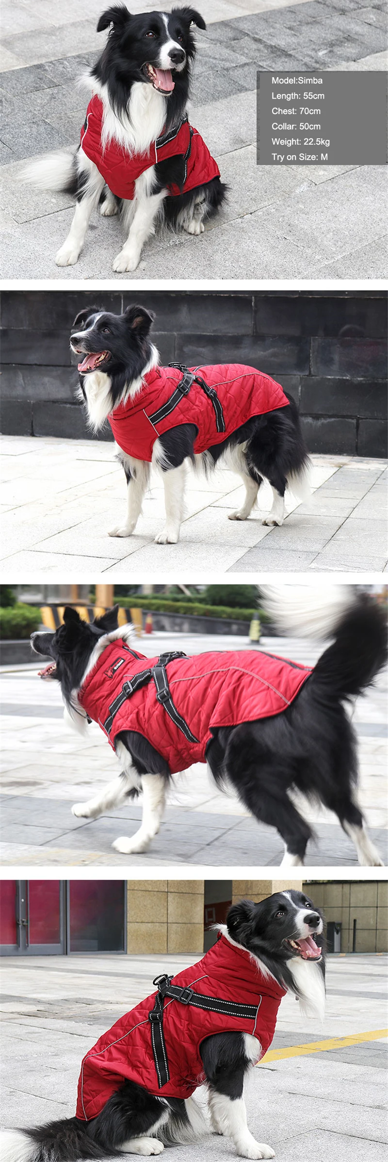 winter dog clothes (2)