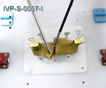 

Intestinal Suture Training Model Intestinal Suture Model Bracket Clip Laparoscopic Surgery Training Practice Aids