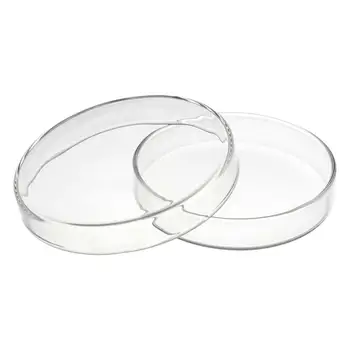 

60mm 90mm Borosilicate Glass Petri culture dish For Chemistry Laboratory Bacterial Yeast