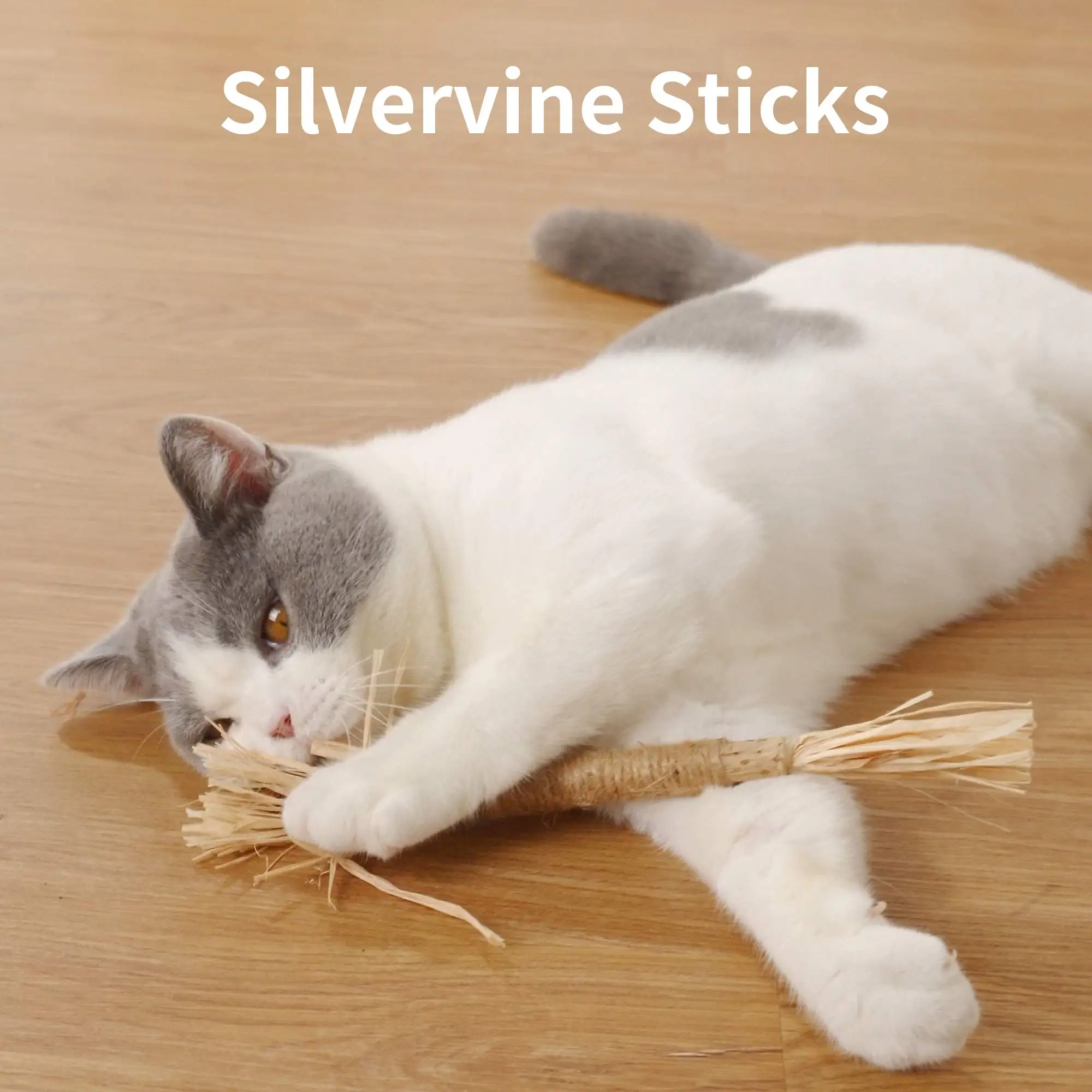 Pet Silvervine Sticks Cat Chew Toys Interactive Cat Catnip Toys