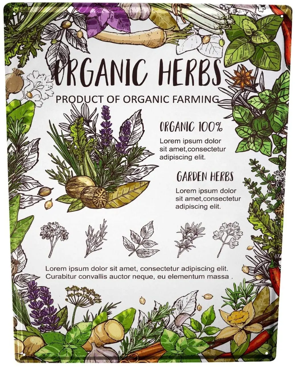 

SINCE 2004 tin Plate Kitchen Herbs