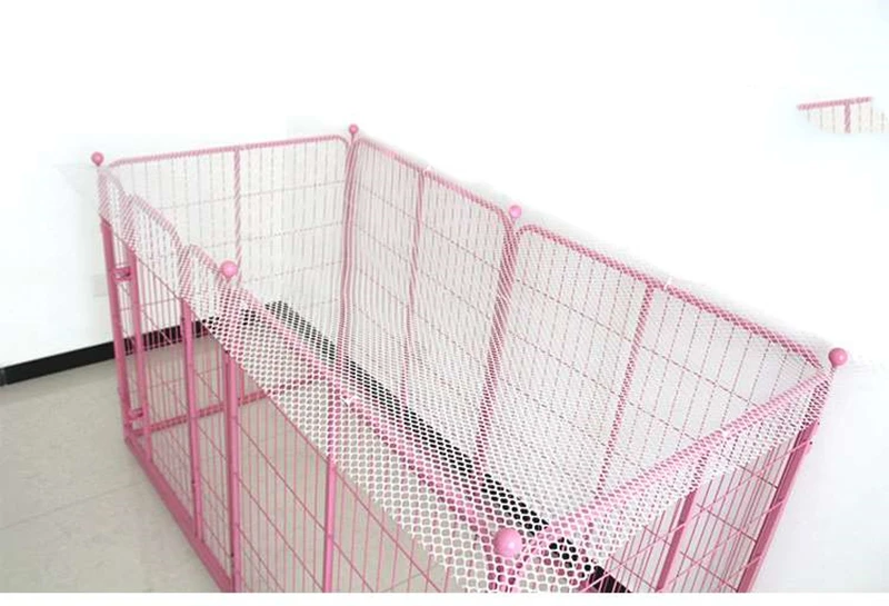 Gato do cão de estimação net varanda