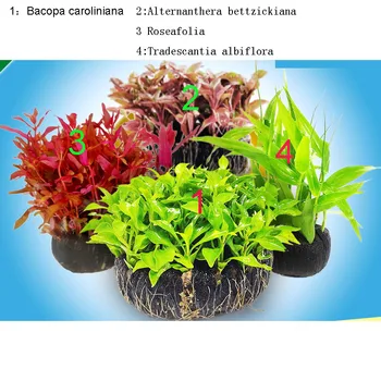 

Aquarium aquatic plants living freshwater grass scenery one 1piece per 4 items