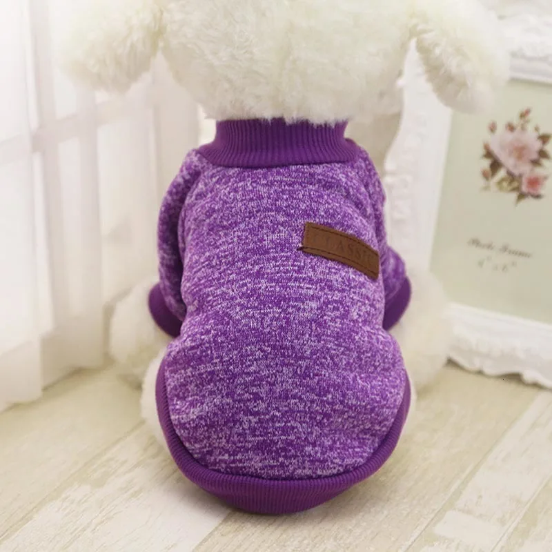 purple dog clothes