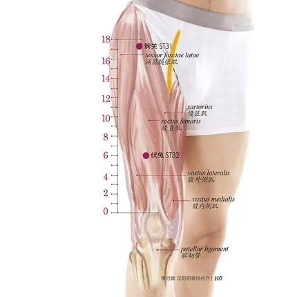 A-Manual-of-Standardized-Meridians-and-Acupoints-chinese-and-english-bilingual-edition-Book (3)