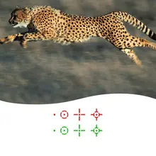 Оптический прицел для ружья Штатив для охоты крепление 20 мм Reflex Красный/Зеленый лазер 4 Сетка голографическая проецируемая точка прицел