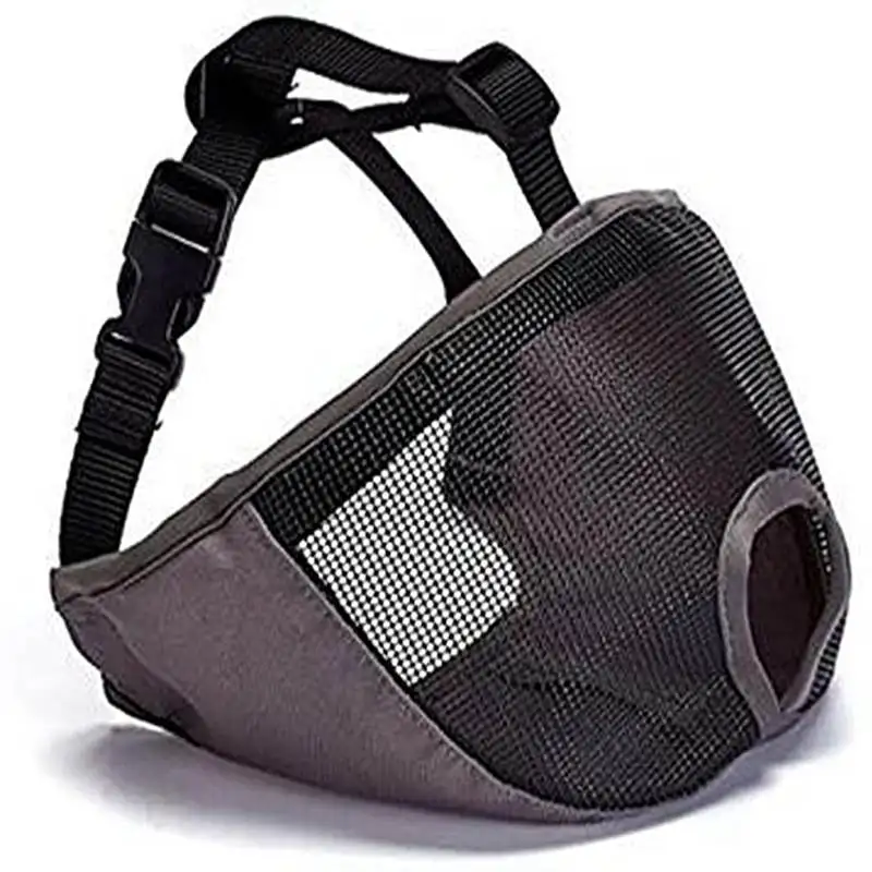 61t1NNAMOTL._AC_SX679_