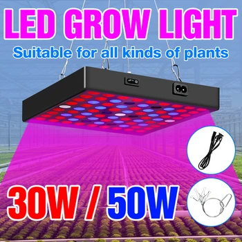 

BiaRiTi 220V Plants Grow Lamp EU US UK Plug Fitolampy 30W 50W Full Spectrum LED Seed Plant Light LED Flower Hydroponics Ampoule