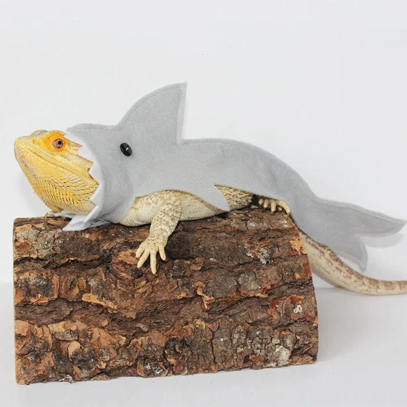 Shark Shape Lizard Costume for Bearded Dragon Reptiles Clothes Small Pet Gecko | Дом и сад