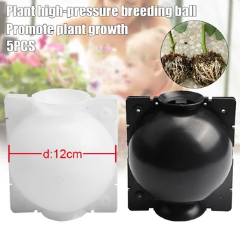 

Hot ! 5pcs Plant Rooting Ball Grafting Rooting Growing Box Breeding Case for Garden D6