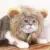 Pet Hat Cat Costume Cosplay Lion Mane Wig Cap with Ears Kitten Adjustable Dress Up Hat Halloween Pet Supplies Осень Зима
