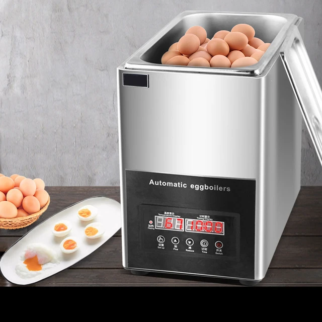 Machine à cuire des œufs électrique automatique 9l, appareil Commercial pour  faire bouillir des œufs à l'eau chaude - AliExpress