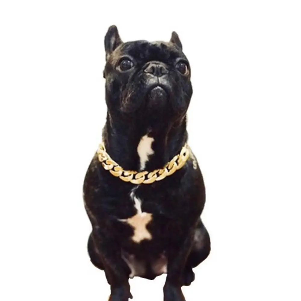 gold necklace dog collar