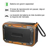 Portable Audio 