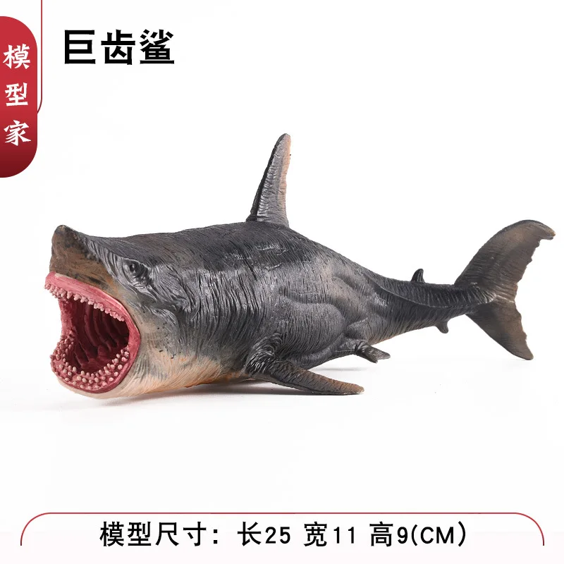 Детская модель и молоток биологическая игрушка модель Megalodon большая белая акула убийца акулы морского дна Акула Тигр модель акулы