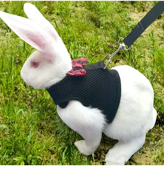 

Fashion Pet Mesh Soft Harness With Leash Small Animal Vest Lead for Hamster Rabbit Bunny Hogard