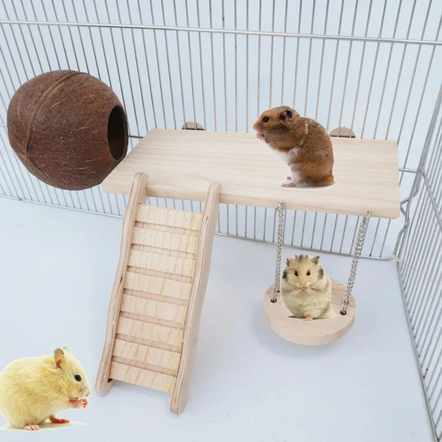 2 Pcs Luta Dupla - Brinquedos Hamster Para Crianças