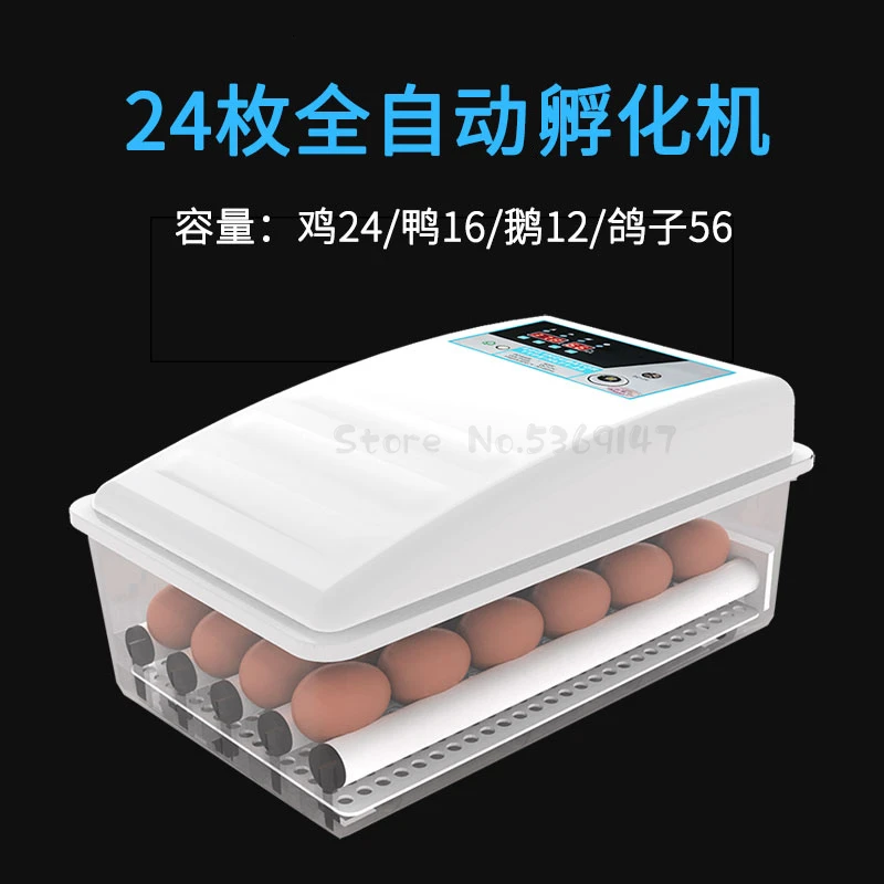 Мини Интеллектуальный инкубатор для яиц Китай курица утка гусь рассада инкубатор постоянная температура Термостат для инкубатора - Цвет: Army Green
