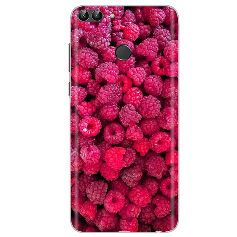phone pouch case Silicone Case For Huawei Nova 2 Case Huawei Nova 2 Plus Nova 2Plus Nova2 Tpu Back Cover Phone Case For Huawei Nova 2 Case Fundas pouch mobile